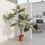 麵包樹 - 香港辦公室盆栽 - Plantshop.hk