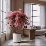 How to Care for Bougainvillea in Hong Kong | Plan… — How to Care for Bougainvillea in Hong Kong | Plantshop