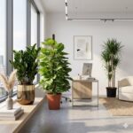 Plantshop.hk 植物組合優惠套裝 - 辦公室綠化方案