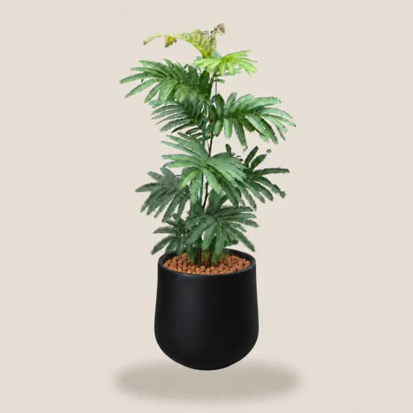 Everfresh Tree in a black round planter, AI illustration