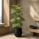 小豆樹場景配搭一，AI效果示意