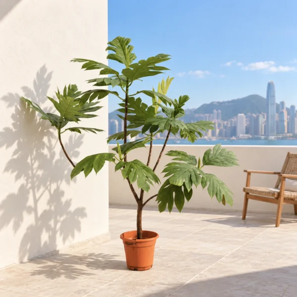 麵包樹與橙色花場原盆｜AI戶外擺放效果示意，非當批實拍 / Breadfruit in orange nursery pot | AI outdoor illustration, not current stock