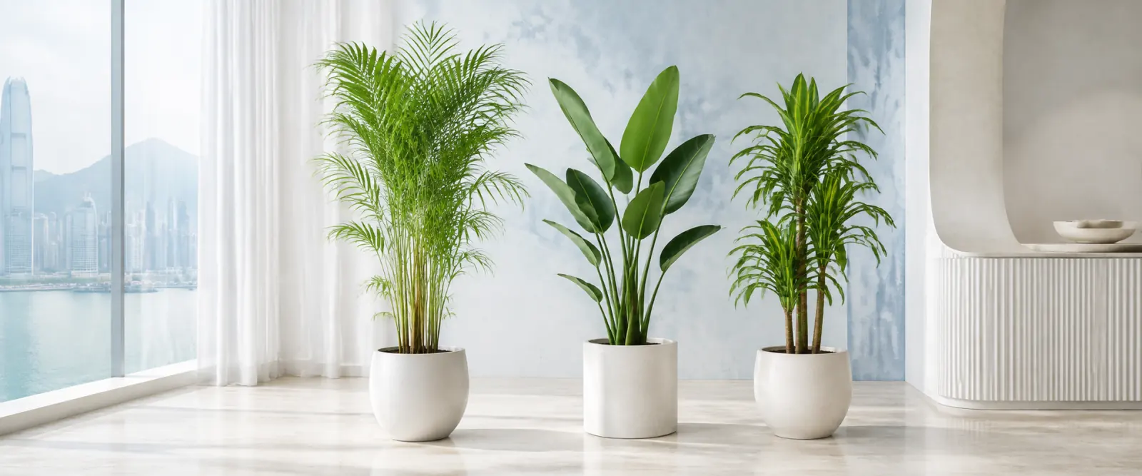 霧藍象牙色調明亮室內的植物組合場景效果圖